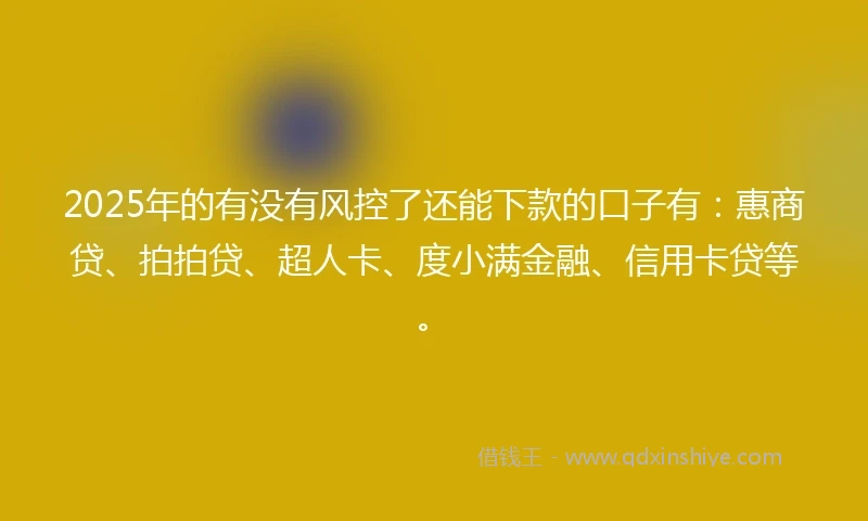 2025年的有没有风控了还能下款的口子有：惠商贷、拍拍贷、超人卡、度小满金融、信用卡贷等。