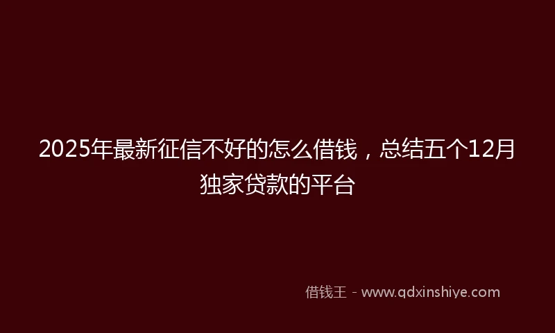 2025年最新征信不好的怎么借钱，总结五个12月独家贷款的平台