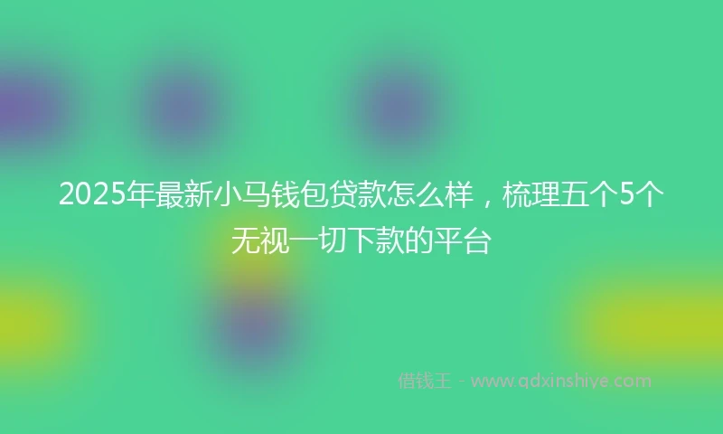 2025年最新小马钱包贷款怎么样，梳理五个5个无视一切下款的平台