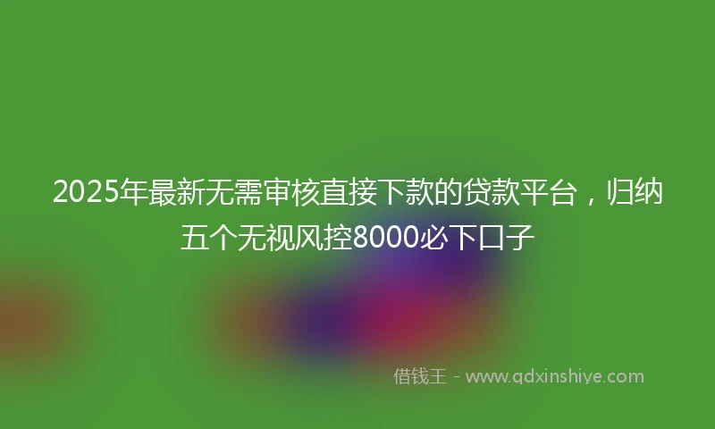2025年最新无需审核直接下款的贷款平台，归纳五个无视风控8000必下口子