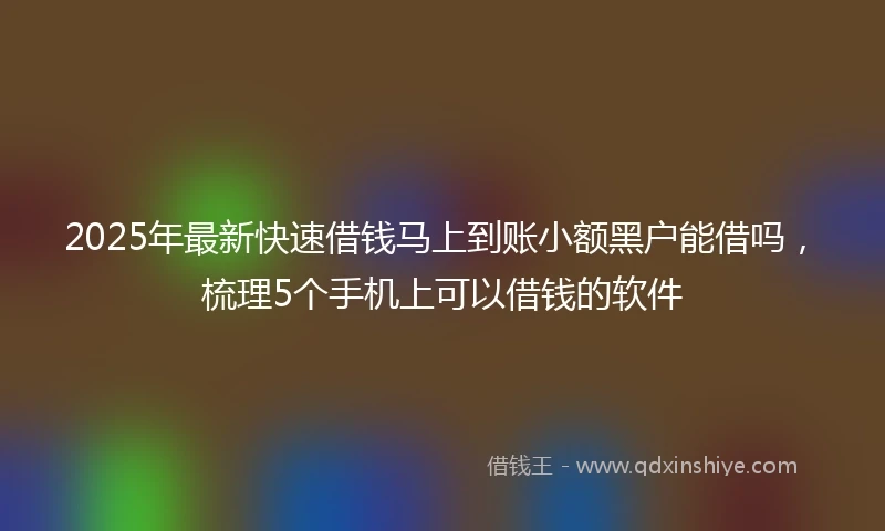 2025年最新快速借钱马上到账小额黑户能借吗，梳理5个手机上可以借钱的软件