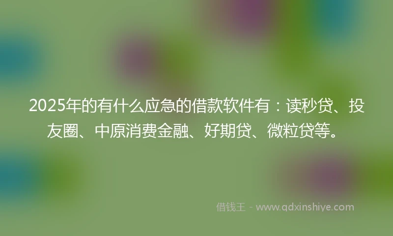 2025年的有什么应急的借款软件有：读秒贷、投友圈、中原消费金融、好期贷、微粒贷等。