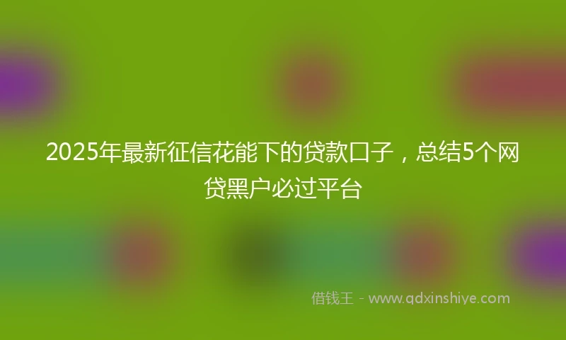 2025年最新征信花能下的贷款口子，总结5个网贷黑户必过平台