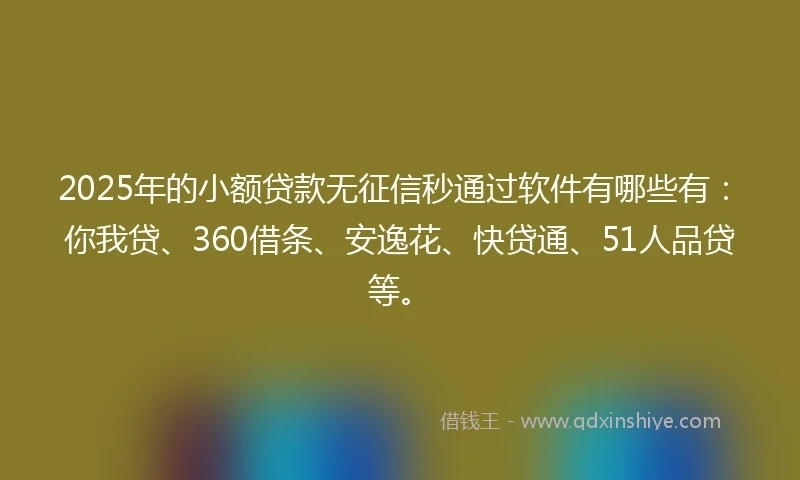 2025年的小额贷款无征信秒通过软件有哪些有：你我贷、360借条、安逸花、快贷通、51人品贷等。