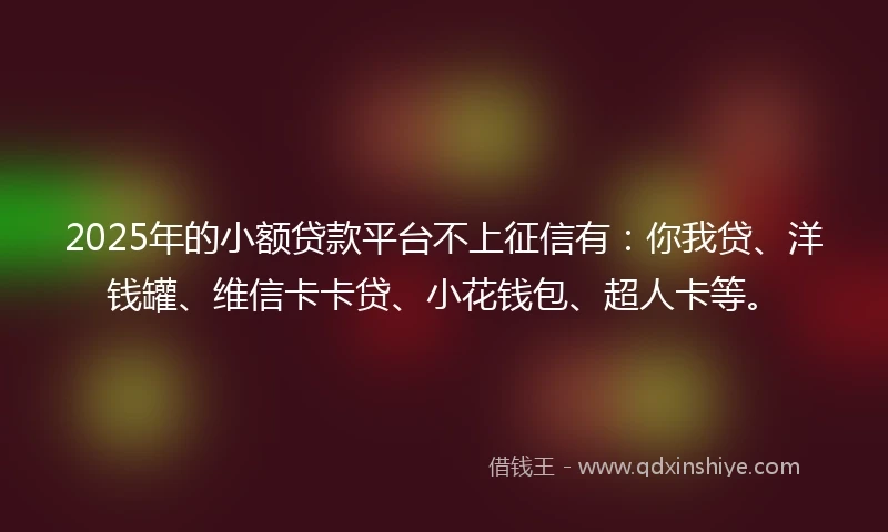 2025年的小额贷款平台不上征信有：你我贷、洋钱罐、维信卡卡贷、小花钱包、超人卡等。