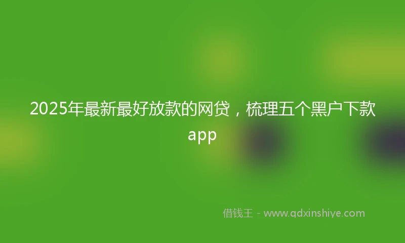 2025年最新最好放款的网贷，梳理五个黑户下款app