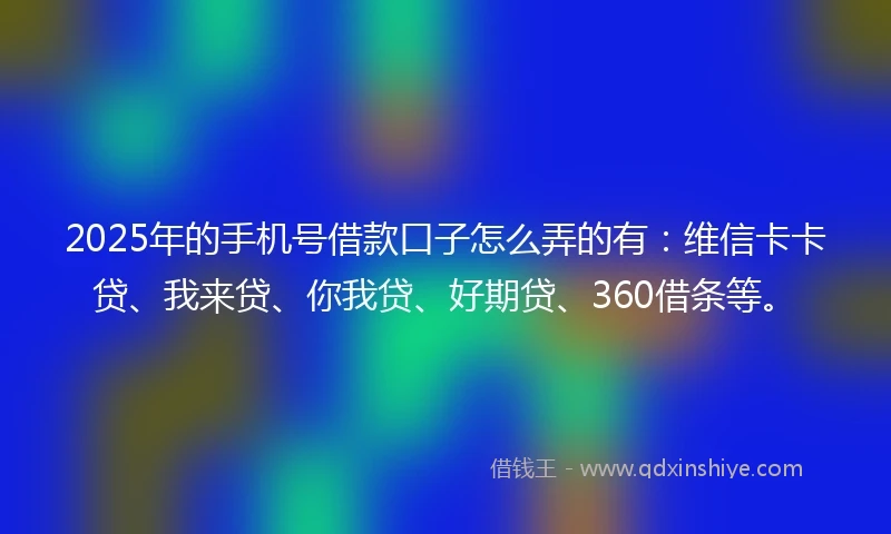 2025年的手机号借款口子怎么弄的有：维信卡卡贷、我来贷、你我贷、好期贷、360借条等。
