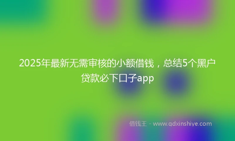 2025年最新无需审核的小额借钱，总结5个黑户贷款必下口子app