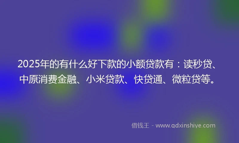 2025年的有什么好下款的小额贷款有：读秒贷、中原消费金融、小米贷款、快贷通、微粒贷等。