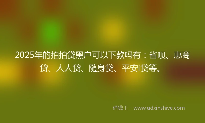 2025年的拍拍贷黑户可以下款吗有：省呗、惠商贷、人人贷、随身贷、平安i贷等。
