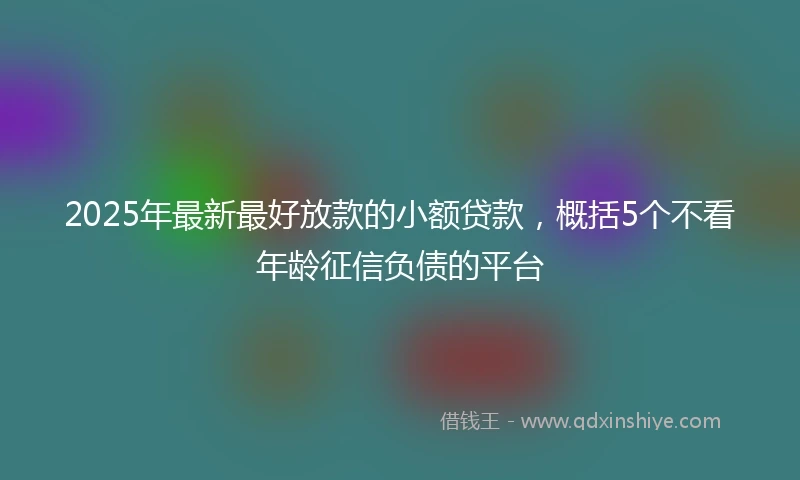 2025年最新最好放款的小额贷款，概括5个不看年龄征信负债的平台