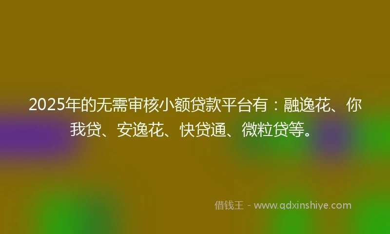 2025年的无需审核小额贷款平台有：融逸花、你我贷、安逸花、快贷通、微粒贷等。