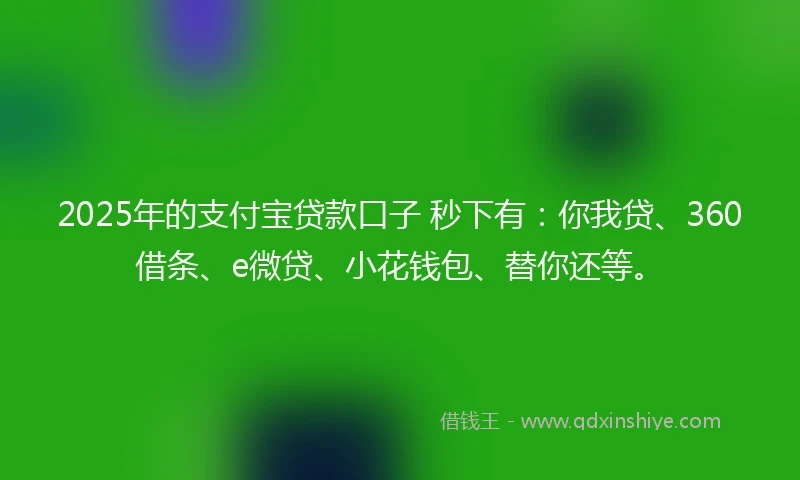 2025年的支付宝贷款口子 秒下有：你我贷、360借条、e微贷、小花钱包、替你还等。