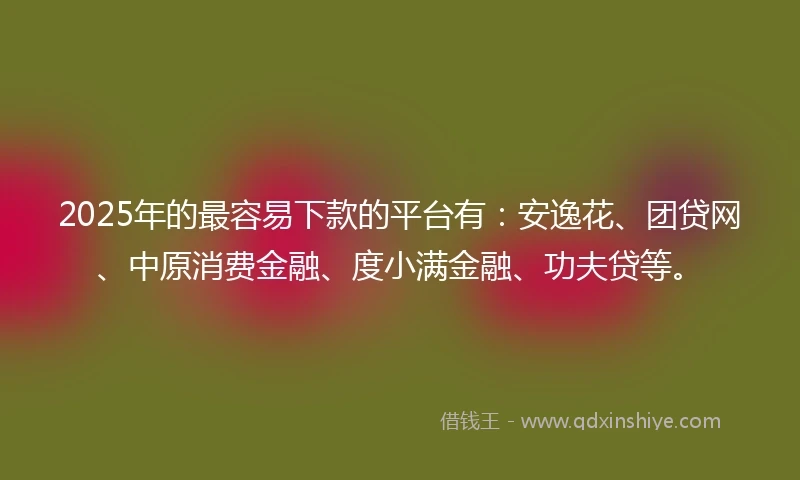 2025年的最容易下款的平台有：安逸花、团贷网、中原消费金融、度小满金融、功夫贷等。