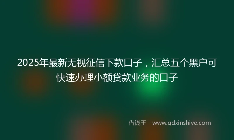2025年最新无视征信下款口子，汇总五个黑户可快速办理小额贷款业务的口子