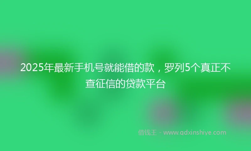 2025年最新手机号就能借的款，罗列5个真正不查征信的贷款平台