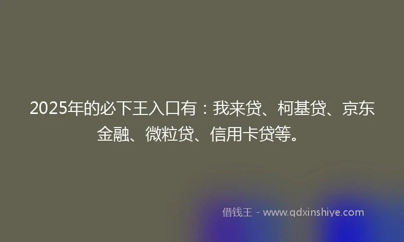 2025年的必下王入口有：我来贷、柯基贷、京东金融、微粒贷、信用卡贷等。