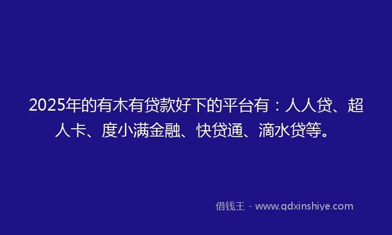 2025年的有木有贷款好下的平台有：人人贷、超人卡、度小满金融、快贷通、滴水贷等。