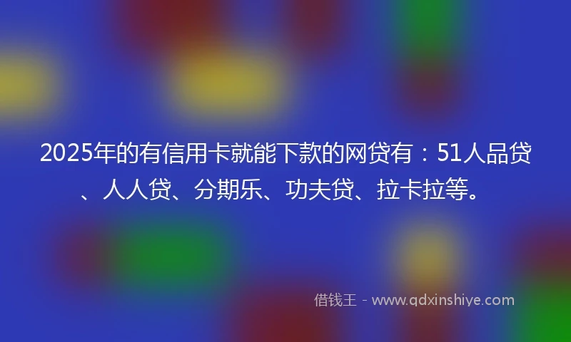2025年的有信用卡就能下款的网贷有：51人品贷、人人贷、分期乐、功夫贷、拉卡拉等。
