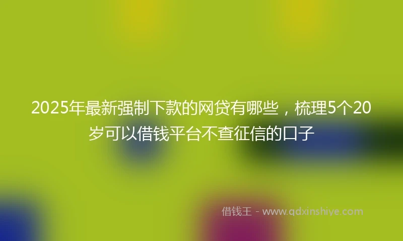 2025年最新强制下款的网贷有哪些，梳理5个20岁可以借钱平台不查征信的口子