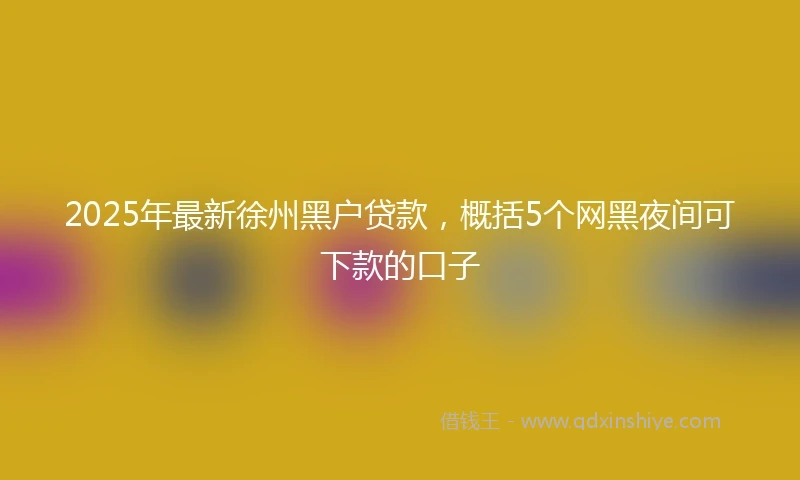 2025年最新徐州黑户贷款，概括5个网黑夜间可下款的口子