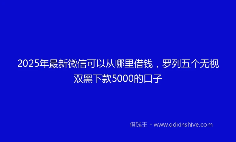 2025年最新微信可以从哪里借钱，罗列五个无视双黑下款5000的口子