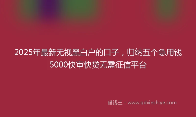 2025年最新无视黑白户的口子，归纳五个急用钱5000快审快贷无需征信平台