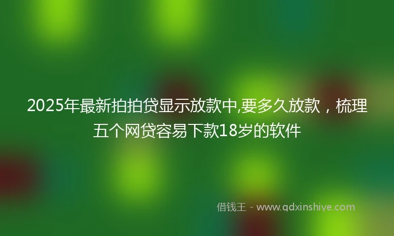 2025年最新拍拍贷显示放款中,要多久放款，梳理五个网贷容易下款18岁的软件