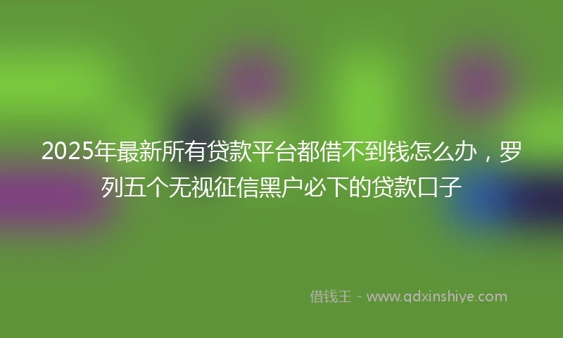 2025年最新所有贷款平台都借不到钱怎么办，罗列五个无视征信黑户必下的贷款口子