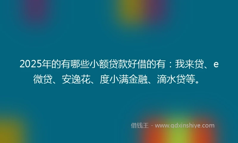 2025年的有哪些小额贷款好借的有：我来贷、e微贷、安逸花、度小满金融、滴水贷等。