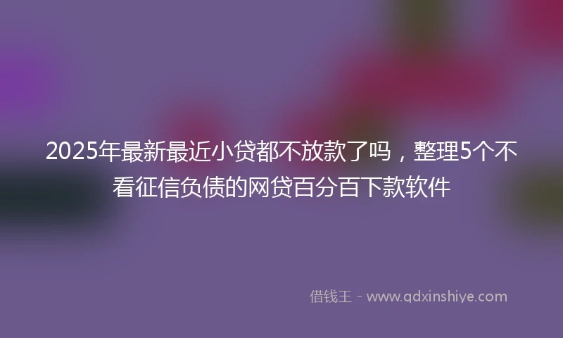 2025年最新最近小贷都不放款了吗，整理5个不看征信负债的网贷百分百下款软件