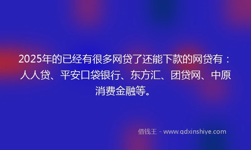 2025年的已经有很多网贷了还能下款的网贷有：人人贷、平安口袋银行、东方汇、团贷网、中原消费金融等。