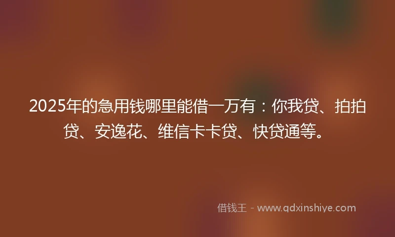 2025年的急用钱哪里能借一万有：你我贷、拍拍贷、安逸花、维信卡卡贷、快贷通等。
