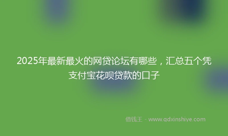 2025年最新最火的网贷论坛有哪些，汇总五个凭支付宝花呗贷款的口子