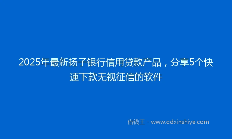 2025年最新扬子银行信用贷款产品，分享5个快速下款无视征信的软件