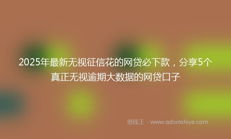 2025年最新无视征信花的网贷必下款，分享5个真正无视逾期大数据的网贷口子
