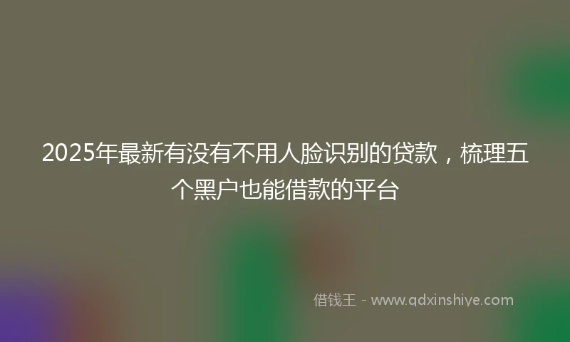 2025年最新有没有不用人脸识别的贷款，梳理五个黑户也能借款的平台