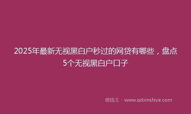 2025年最新无视黑白户秒过的网贷有哪些，盘点5个无视黑白户口子