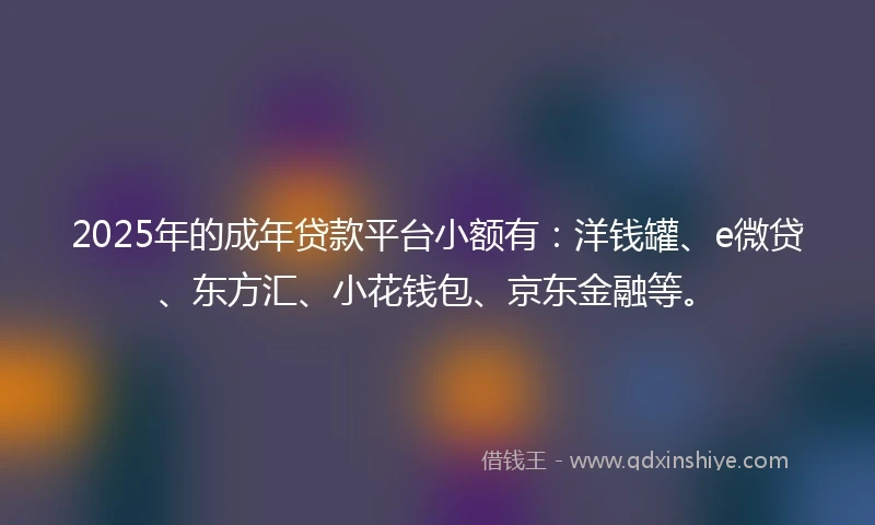 2025年的成年贷款平台小额有：洋钱罐、e微贷、东方汇、小花钱包、京东金融等。