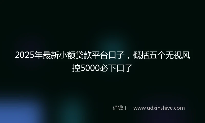 2025年最新小额贷款平台口子，概括五个无视风控5000必下口子