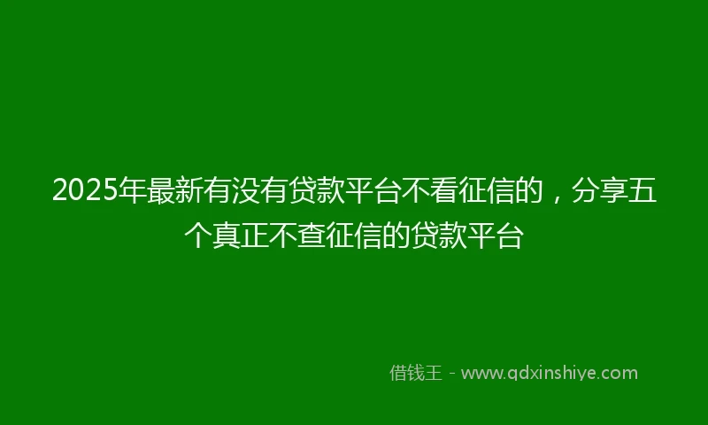 2025年最新有没有贷款平台不看征信的，分享五个真正不查征信的贷款平台