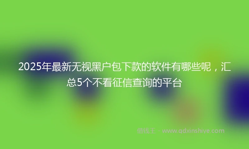 2025年最新无视黑户包下款的软件有哪些呢，汇总5个不看征信查询的平台