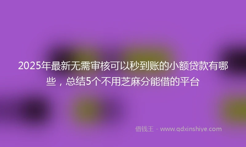 2025年最新无需审核可以秒到账的小额贷款有哪些，总结5个不用芝麻分能借的平台