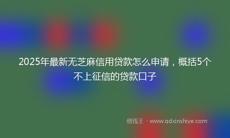 2025年最新无芝麻信用贷款怎么申请，概括5个不上征信的贷款口子