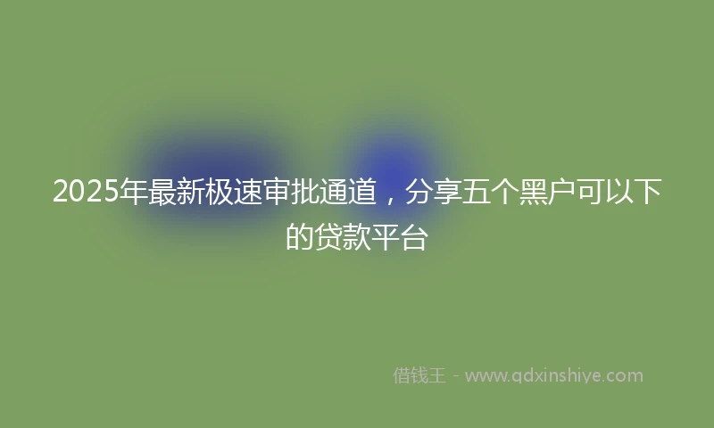 2025年最新极速审批通道，分享五个黑户可以下的贷款平台