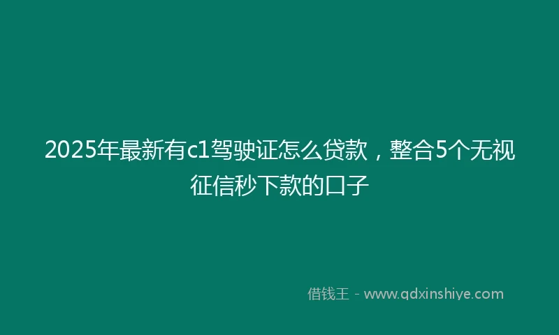 2025年最新有c1驾驶证怎么贷款，整合5个无视征信秒下款的口子