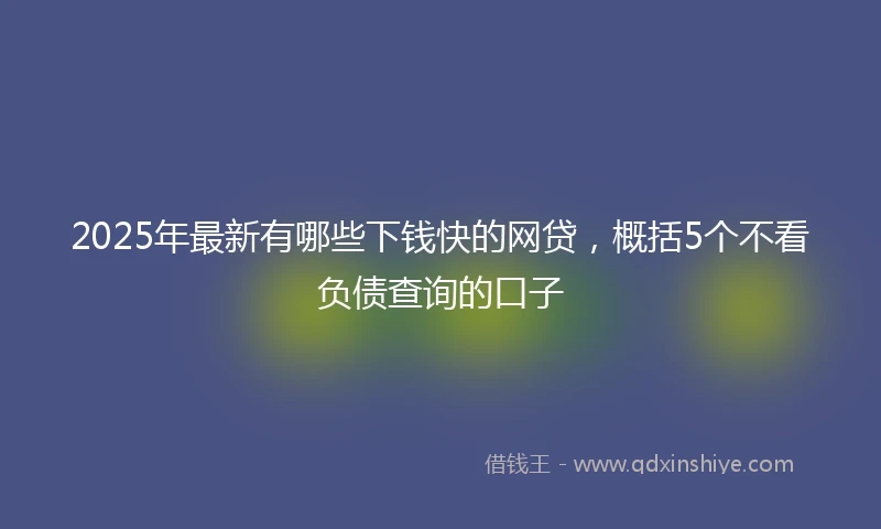 2025年最新有哪些下钱快的网贷，概括5个不看负债查询的口子