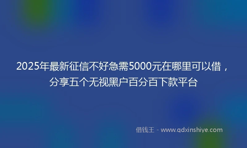 2025年最新征信不好急需5000元在哪里可以借，分享五个无视黑户百分百下款平台