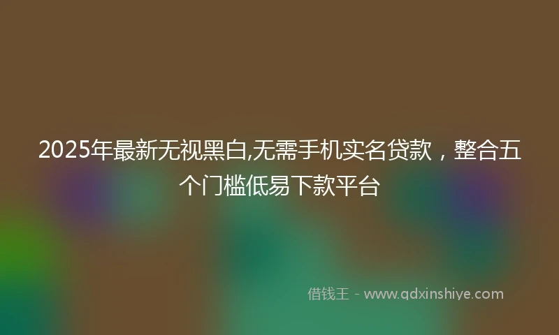 2025年最新无视黑白,无需手机实名贷款，整合五个门槛低易下款平台