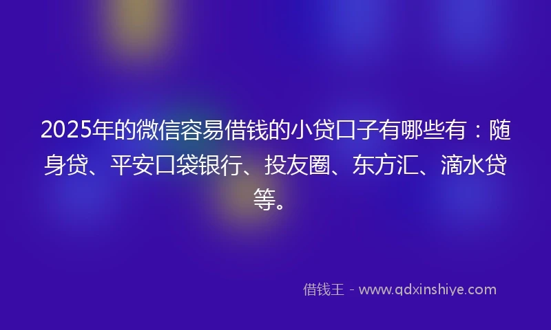2025年的微信容易借钱的小贷口子有哪些有：随身贷、平安口袋银行、投友圈、东方汇、滴水贷等。